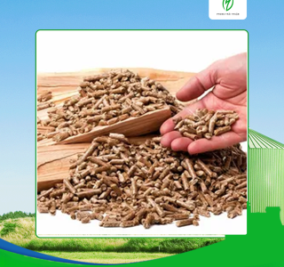 Chọn lựa nhà cung cấp viên nén gỗ Tây Ninh phù hợp nhất