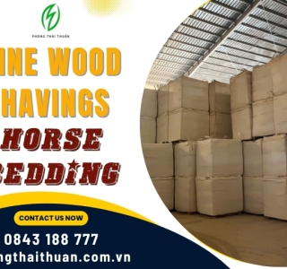 WS-02 Pine Wood Shavings – Horse Bedding | Phong Thai Thuan