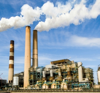 Phong Thái Thuận – Giải Pháp Viên Nén Gỗ Sinh Khối Hướng Tới Mục Tiêu Net Zero