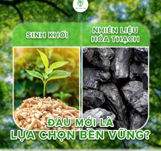 Viên Nén Gỗ Phong Thái Thuận – Giải Pháp Chuyển Đổi Nhiên Liệu Lò Hơi Hướng Tới Phát Thải Thấp