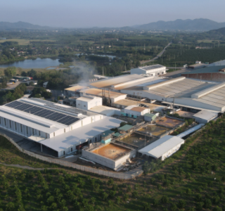 Một Nhà Máy Tại Bình Dương Đã Tiết Kiệm 1,5 Tỷ Đồng/Năm Như Thế Nào Với Viên Nén Gỗ?