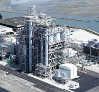 Top 4 Nhà Cung Cấp Củi Trấu, Viên Nén Gỗ, Dăm Gỗ & Mùn Cưa Uy Tín Tại Tây Ninh