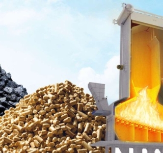 Nhiên Liệu Biomass – Giải Pháp Năng Lượng Bền Vững Từ Phong Thái Thuận