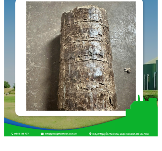 Củi Ép Mùn Cưa – Giải Pháp Nhiên Liệu Sinh Khối Hiệu Quả Từ Phong Thái Thuận