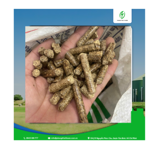 Thị Trường Viên Nén Sinh Khối Toàn Cầu Dự Báo Tăng Trưởng Mạnh, Được Đẩy Bằng Chuyển Đổi Năng Lượng Tái Tạo