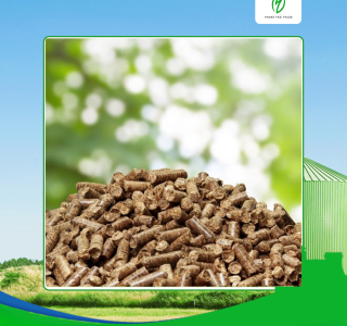 Sử dụng viên gỗ nén tại Tây Ninh hiệu quả hơn