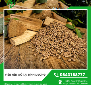 Viên nén gỗ tại Bình Dương nguồn nhiên liệu sinh khối thân thiện với môi trường