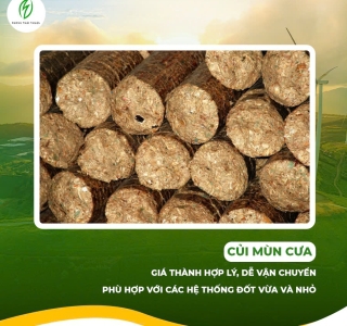 Củi Nén Mùn Cưa Phong Thái Thuận - Giải Pháp Nhiên Liệu Tối Ưu Cho Sản Xuất Hiệu Quả