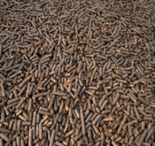 VIÊN NÉN BÃ HẠT ĐIỀU