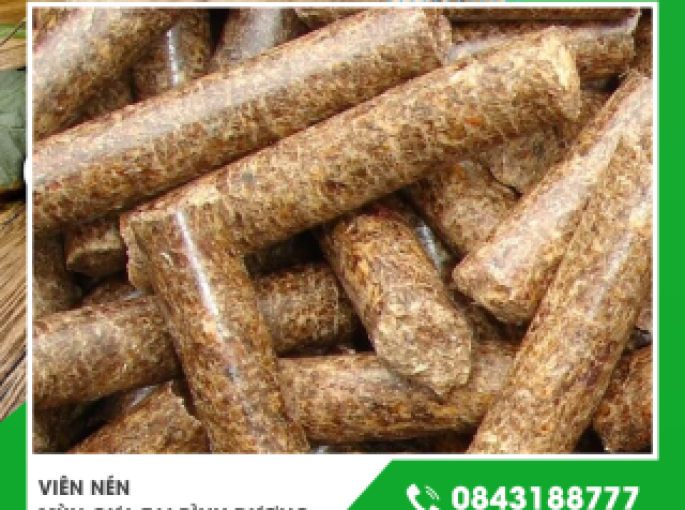 Viên nén mùn cưa tại Bình Dương giá tốt chất lượng cao thân thiện môi trường