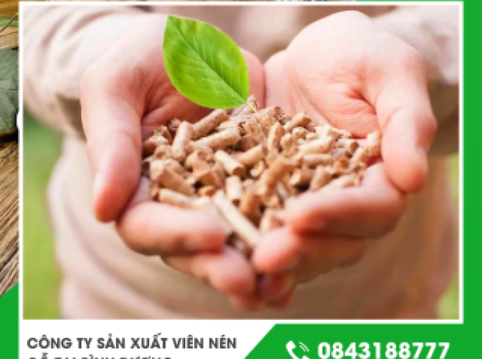 Công ty sản xuất viên nén gỗ tại Bình Dương chất lượng cao giá cạnh tranh