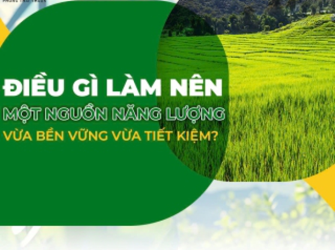 Lợi Ích Môi Trường Của Viên Nén Gỗ: Giải Pháp Năng Lượng Tái Tạo Bền Vững