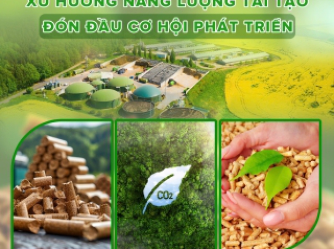 Không Còn Nỗi Lo Thiếu Nhiên Liệu – Viên Nén Gỗ Từ Phong Thái Thuận Luôn Đảm Bảo Nguồn Cung Dài Hạn Và Chất Lượng Ổn Định