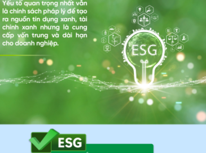 Viên Nén Gỗ – Giải Pháp Giảm Phát Thải, Hướng Tới Net-Zero