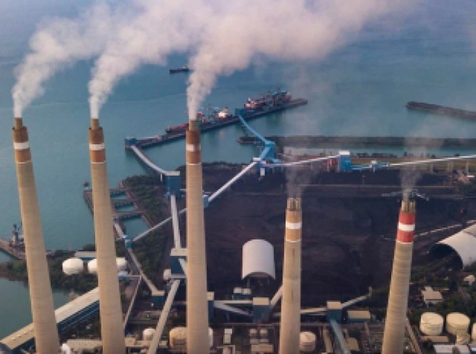 Indonesia Thúc Đẩy Sử Dụng Sinh Khối Đồng Đốt Trong Nhà Máy Điện Than