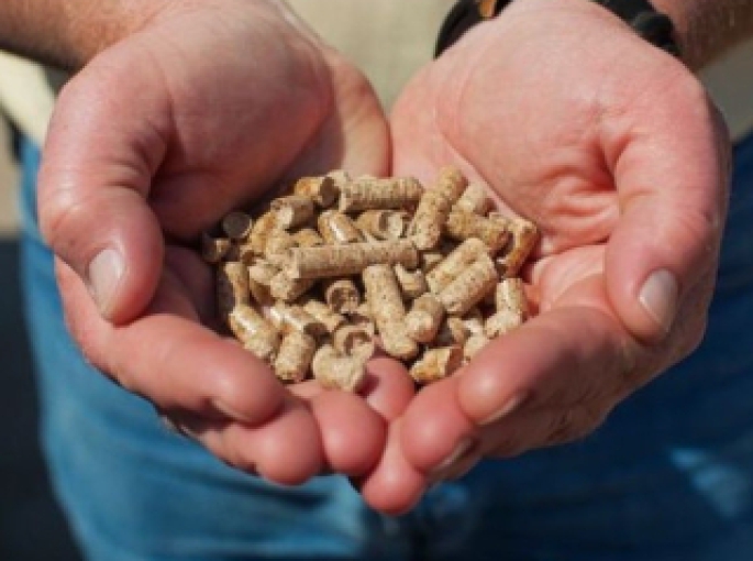 Top 6 Nhà Cung Cấp Củi Trấu, Viên Nén Gỗ, Dăm Gỗ, Mùn Cưa Uy Tín Tại Long An