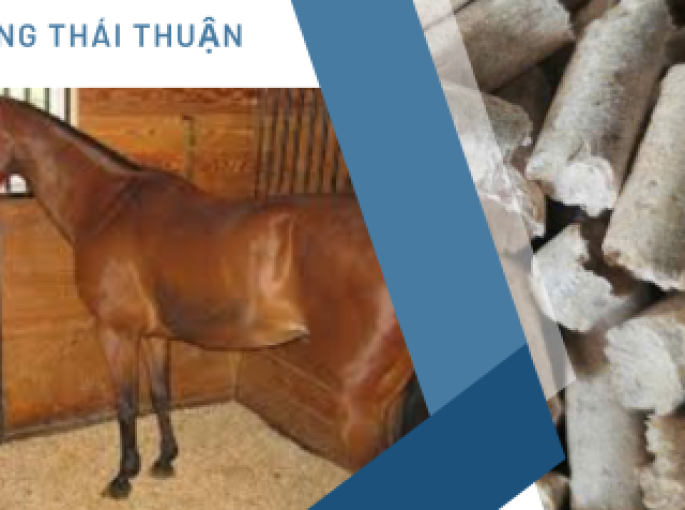 Viên Nén Gỗ: Giải Pháp Lót Chuồng Hiệu Quả Cho Vật Nuôi