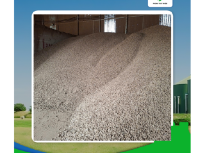 Lời Khuyên Quan Trọng Dành Cho Doanh Nghiệp Muốn Tối Ưu Lò Hơi Với Viên Nén Gỗ