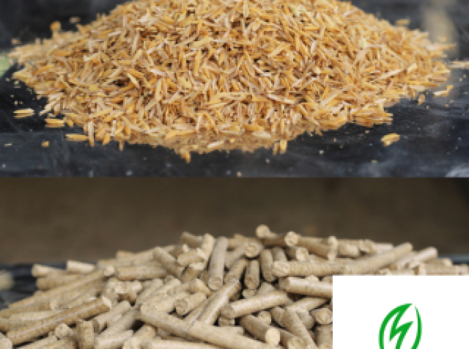 Giá Viên Nén Trấu Tăng Đột Biến: Lý Do Đằng Sau Và Giải Pháp Ổn Định Nguồn Cung