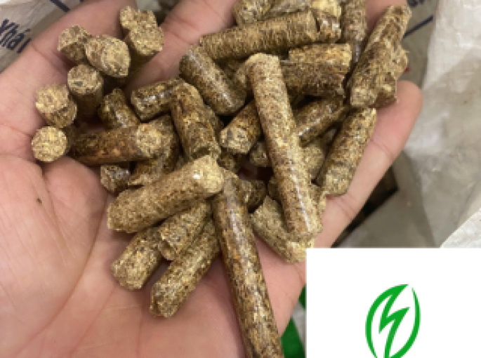 Đừng Để Viên Nén Gỗ Kém Chất Lượng Làm Tổn Hại Doanh Nghiệp Bạn!