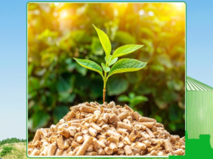 Cung cấp nguyên liệu sinh khối chất lượng giá tốt tại Long An