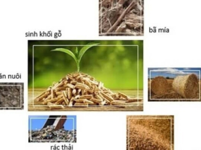 Năng lượng sinh khối: Giải pháp bền vững cho tương lai