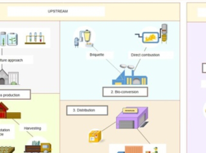 Bamboo Biomass – Giải Pháp Năng Lượng Sinh Khối Bền Vững Từ Phong Thái Thuận