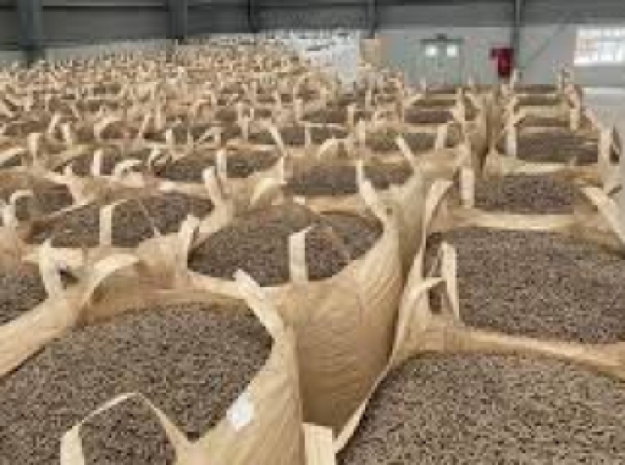 Unilever Việt Nam: Tiên Phong Giảm Phát Thải Carbon Với Công Nghệ Biomass Và Xe Nâng Điện