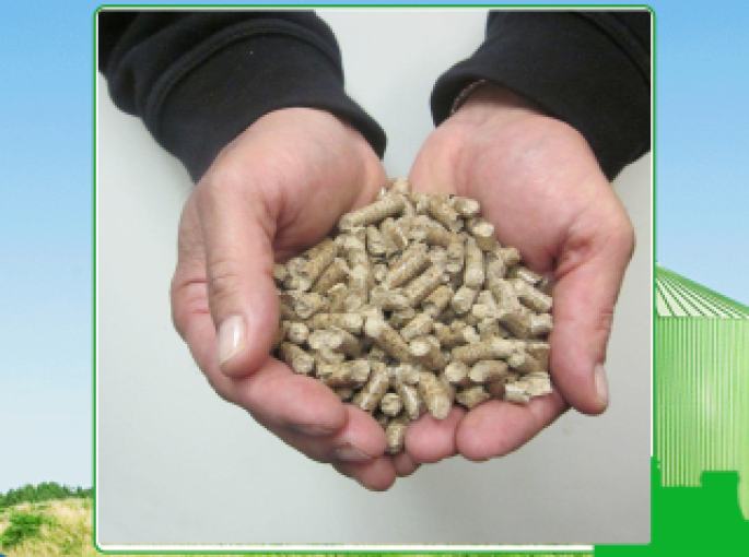 Tiết kiệm chi phí khi mua viên nén gỗ ở Tây Ninh