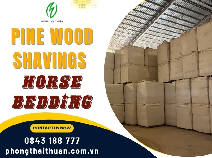 WS-02 Pine Wood Shavings – Horse Bedding | Phong Thai Thuan