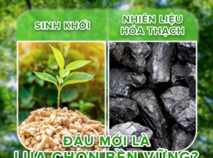 Cẩn Thận Với Viên Nén Gỗ Giá Rẻ: Giải Pháp Nhiên Liệu An Toàn Từ Phong Thái Thuận
