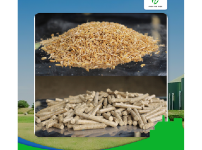 Chuyển Đổi Sang Nhiên Liệu Sinh Khối: Giải Pháp Xanh Cho Tương Lai Bền Vững