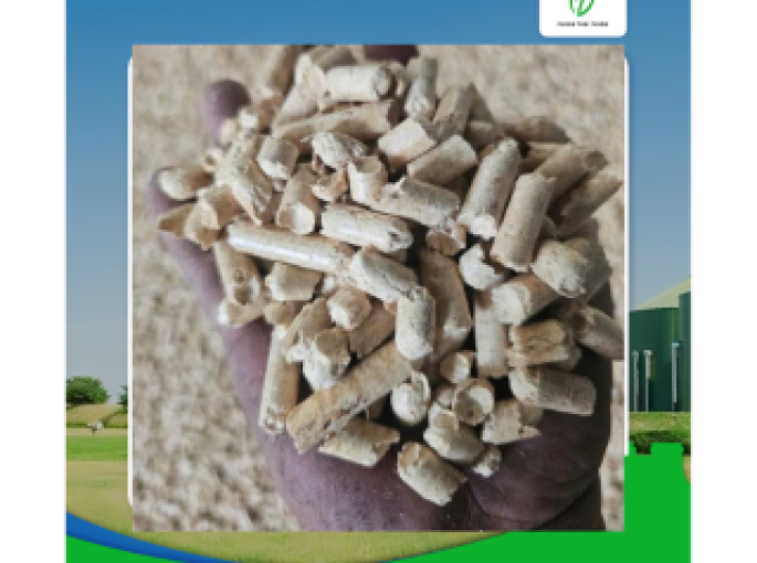 Viên Nén Gỗ Chất Lượng Cao Tiếp Tục Khan Hiếm: Xu Hướng Thị Trường Và Giải Pháp