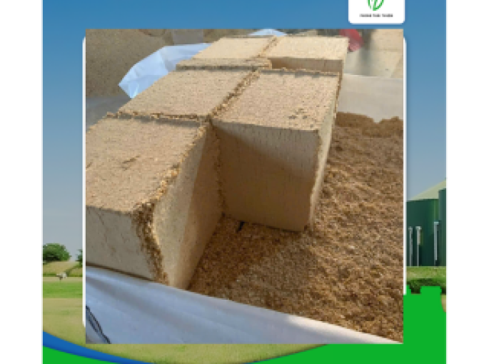 Dăm Bào Ép Khối: Giải Pháp Lót Chuồng Hiệu Quả Cho Mùa Đông