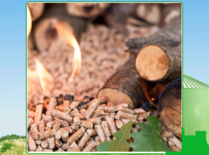 Chọn lựa viên nén gỗ cao su tại Tây Ninh tốt nhất