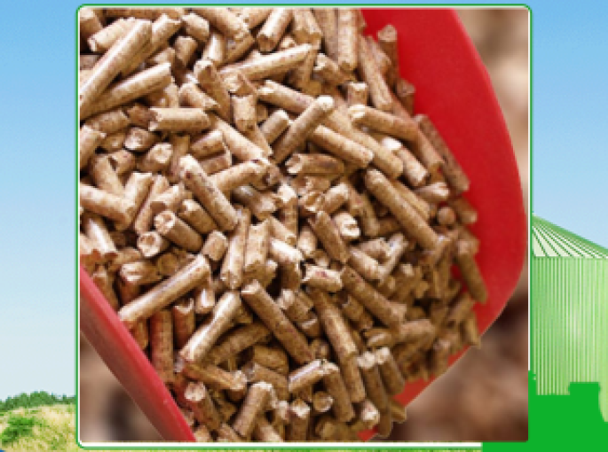 Viên nén gỗ Tây Ninh - Sản phẩm năng lượng xanh và bền vững