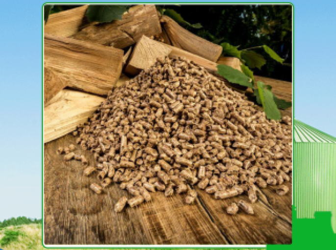 Các ứng dụng của viên nén gỗ trong công nghiệp