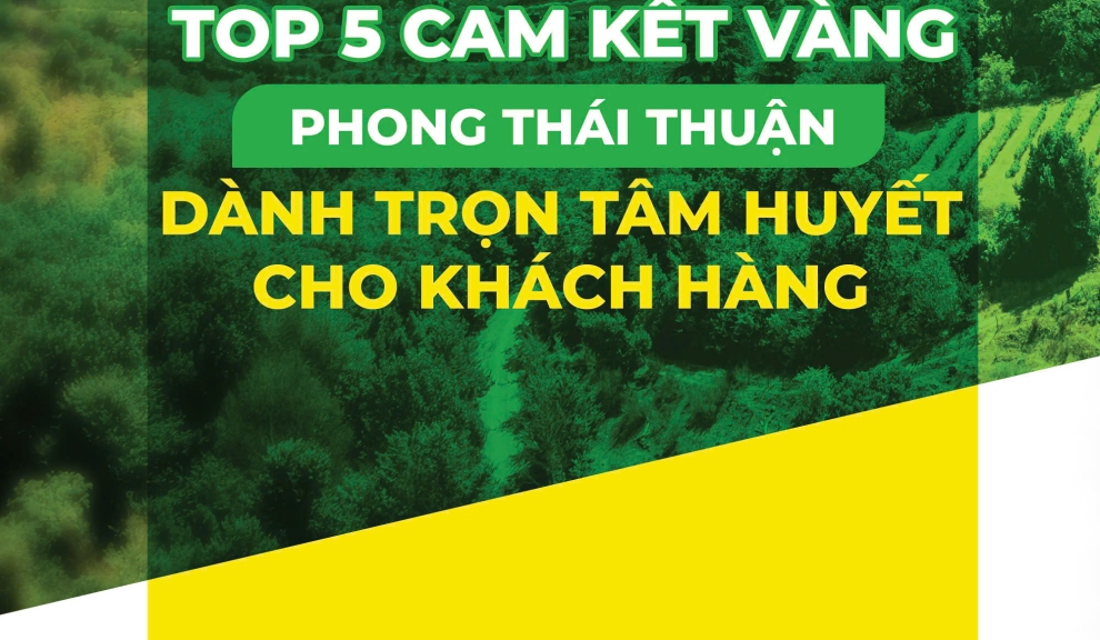 CAM KẾT CỦA PHONG THÁI THUẬN